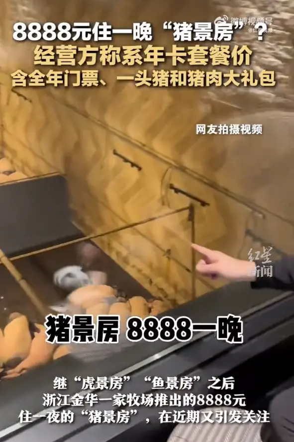 圖片來(lái)源：紅星新聞視頻截圖