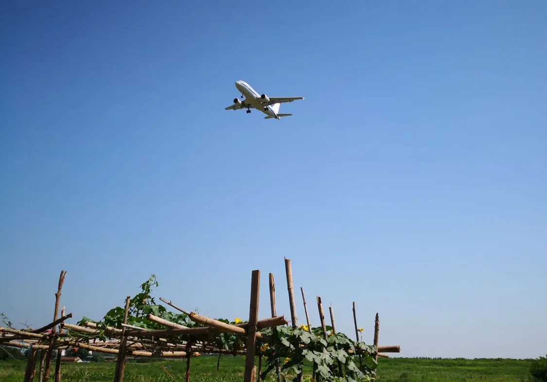 图片来源:每经记者 李少婷 摄 (图文无关)