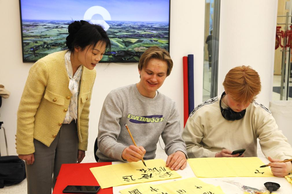 4月20日，在挪威首都奥斯陆，当地民众在中文日庆祝活动上体验书法。新华社记者 张玉亮 摄