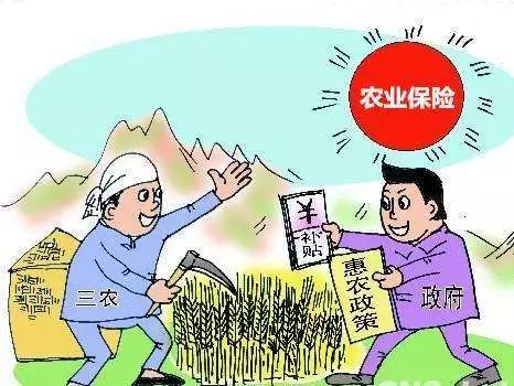 農(nóng)業(yè)保險如何投保、承保，一篇文章讓你全知道