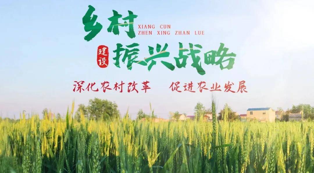 全面推進(jìn)鄉(xiāng)村振興落地 多地陸續(xù)公布政策細(xì)節(jié)-搜狐大視野-搜狐新聞