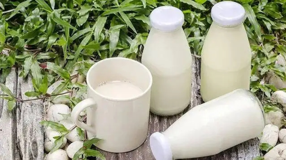 鮮奶產品大全
