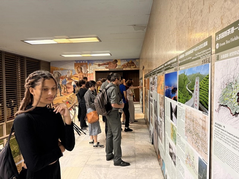 巴西民眾正在觀看“萬里茶道建筑遺產與茶文化雙主題展”。策展團隊供圖