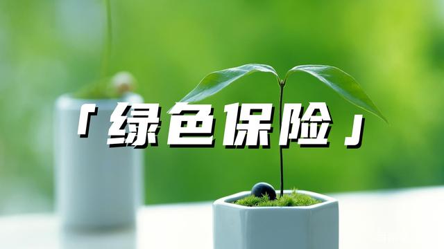 20250610093641708-23-53eab.jpeg