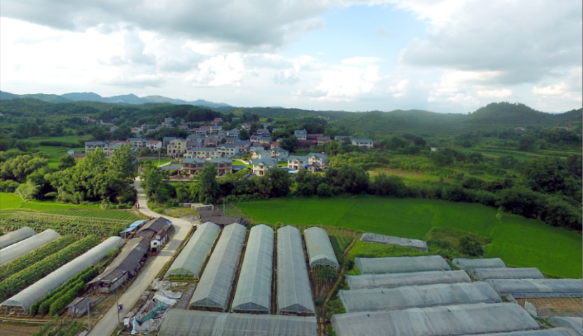 鄉村振興背景下發展壯大新型農村集體經濟初探_鄉村振興服務網-中國領先的信息全產業鏈服務推廣平臺