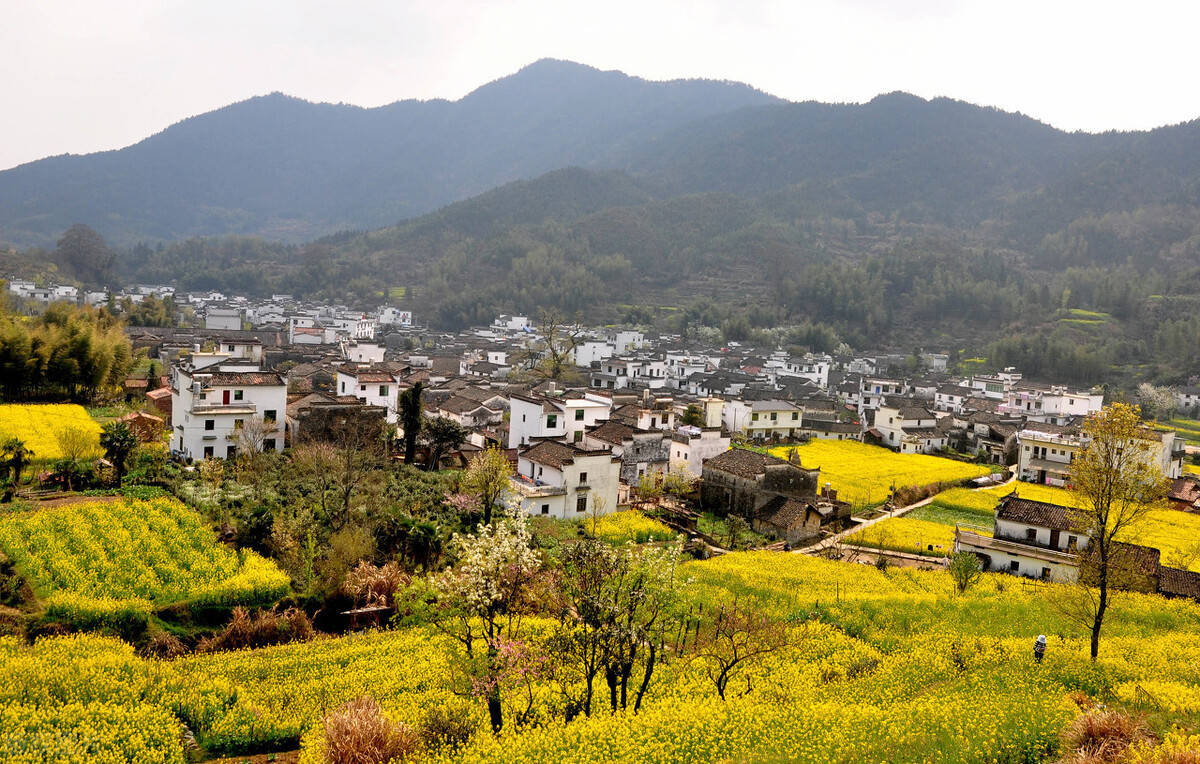 浙報(bào)整版丨美麗經(jīng)濟(jì)一路生長 安吉鄉(xiāng)村振興繪就新圖景|安吉|杭垓鎮(zhèn)|鄣吳鎮(zhèn)_新浪新聞