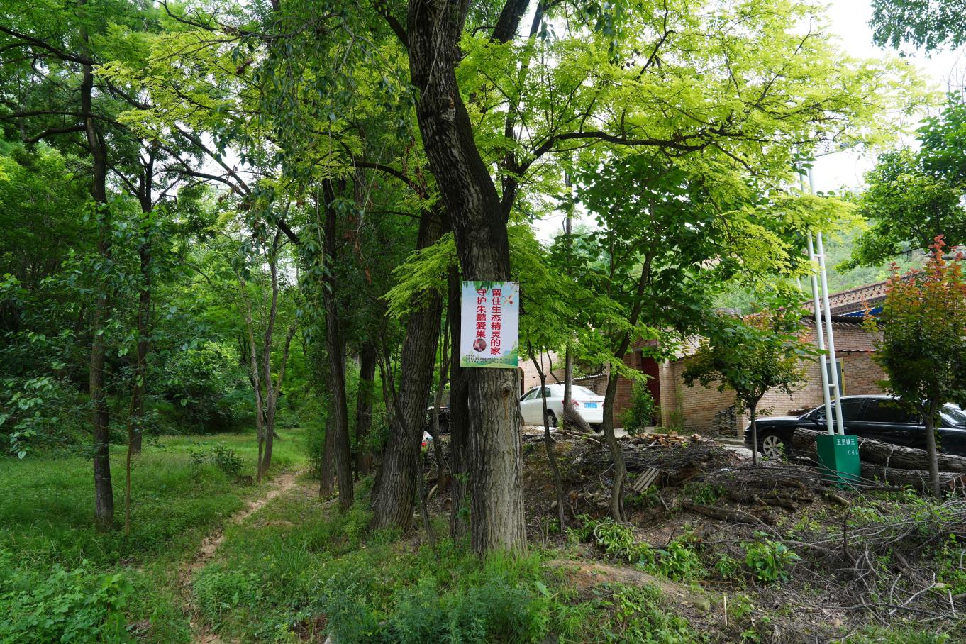 20250708153014421-36-73896.jpg_scale.jpg