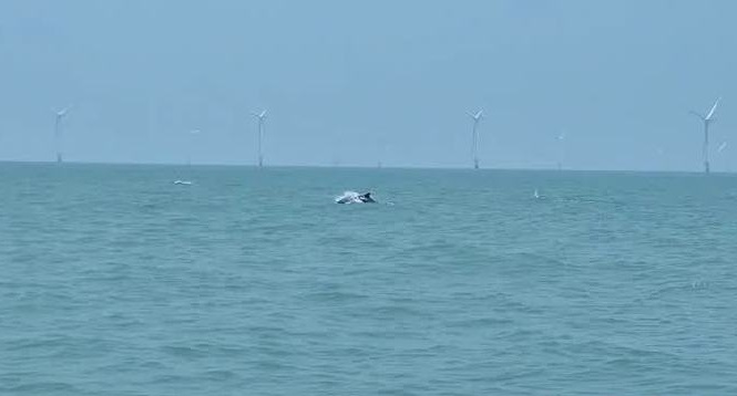 20250714095156923-33-87bf7.jpg