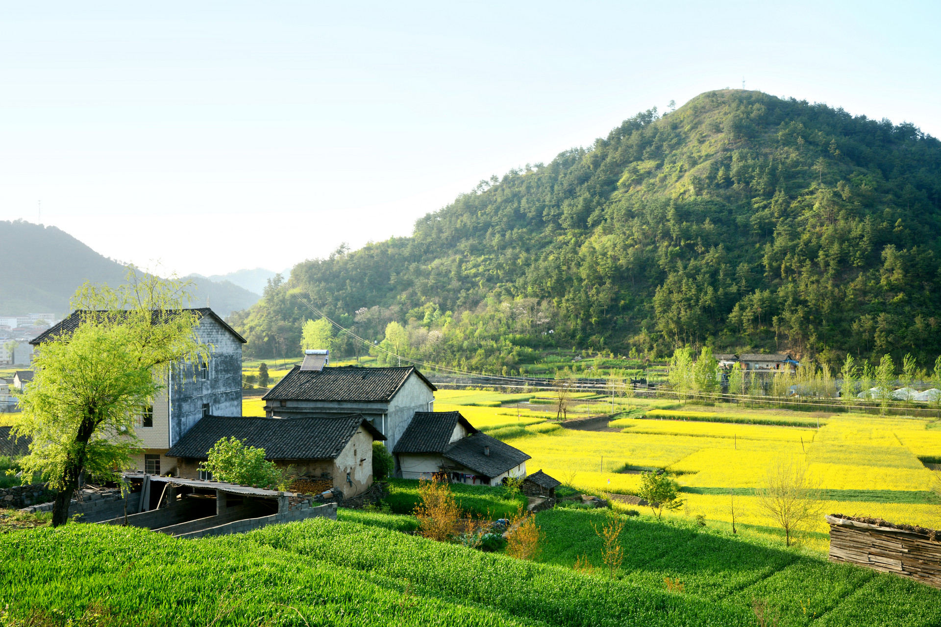 美麗鄉村建設下農旅融合發展路徑
