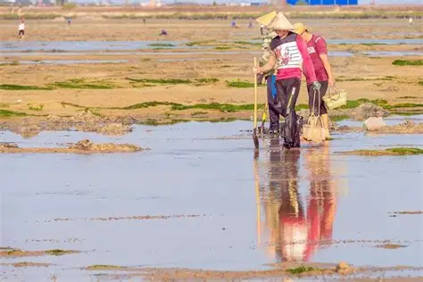 广西北海：金海湾之赶海-中关村在线摄影论坛