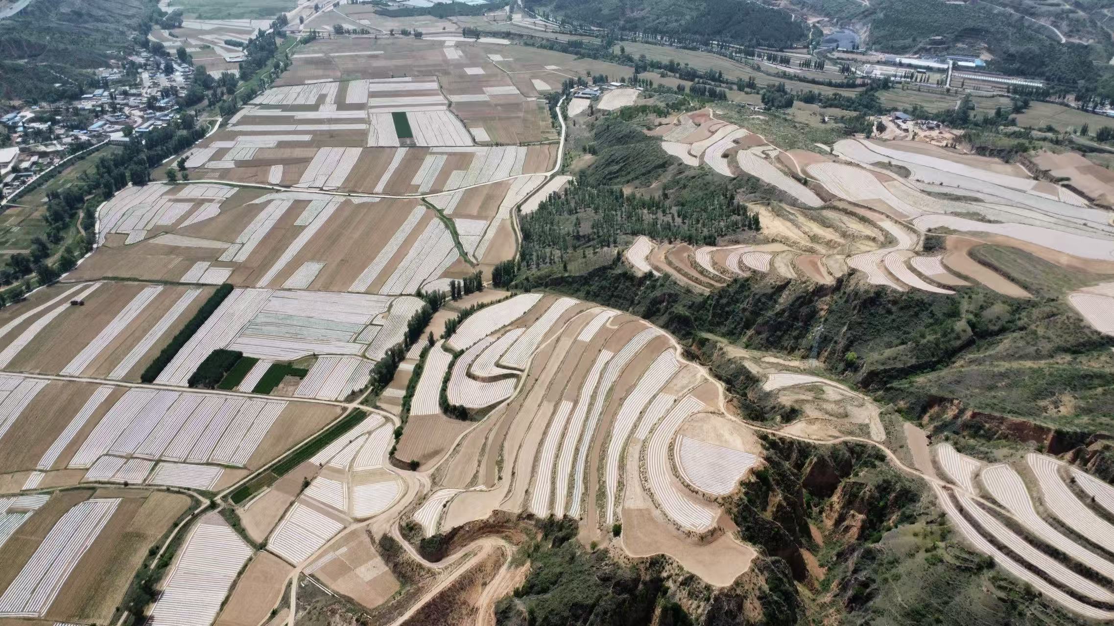 20251022184828222-95-0fdd7.jpg 20251022184828222-95-0fdd7.jpg