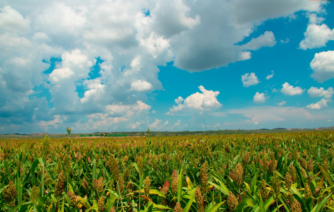 20251022185108236-73-16f0d.jpg 20251022185108236-73-16f0d.jpg