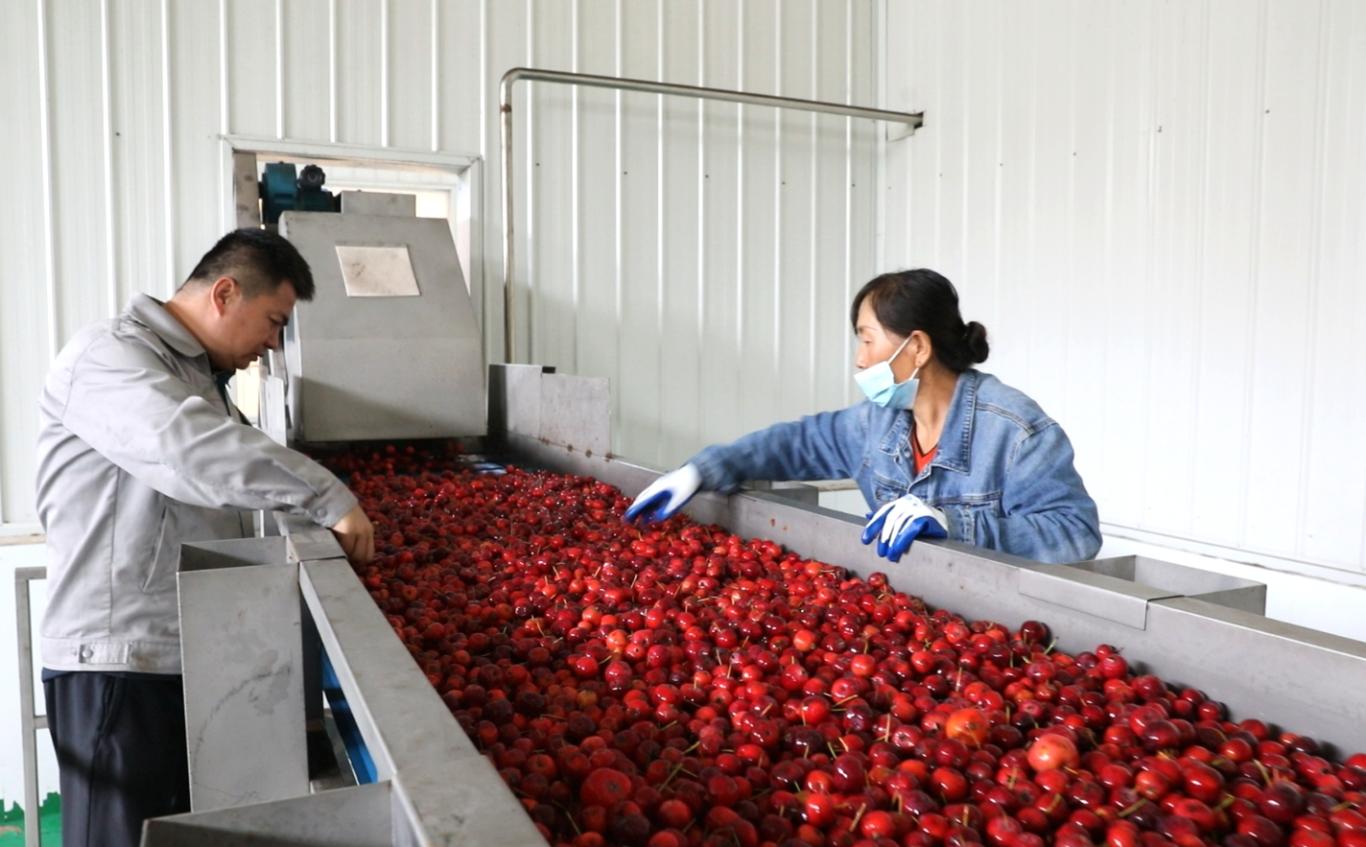 20251022190447332-44-c17ca.jpg_scale.jpg 20251022190447332-44-c17ca.jpg_scale.jpg