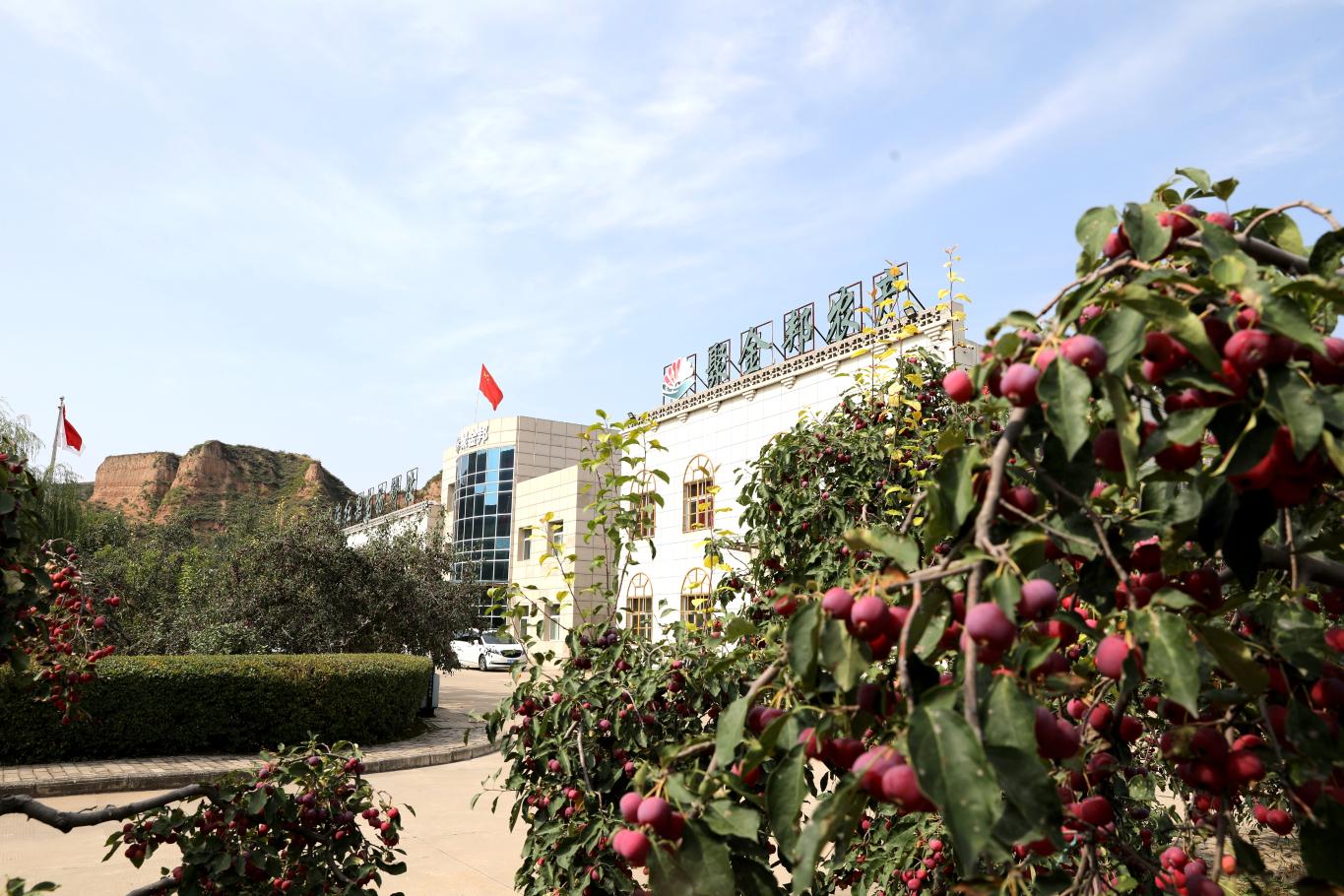 20251022190448604-60-117f8.jpg_scale.jpg 20251022190448604-60-117f8.jpg_scale.jpg