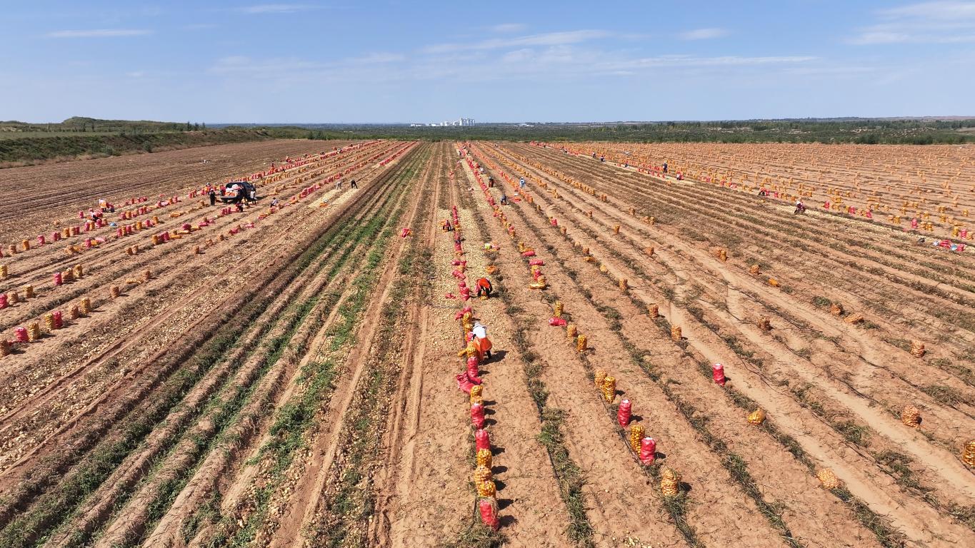 20251022192740216-2-0e177.jpg_scale.jpg 20251022192740216-2-0e177.jpg_scale.jpg