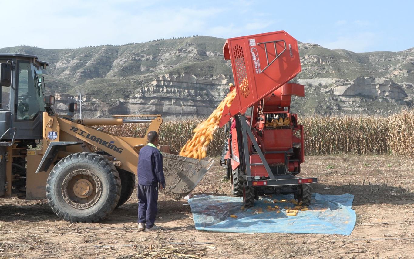 20251022192741158-36-61bf5.jpg_scale.jpg 20251022192741158-36-61bf5.jpg_scale.jpg