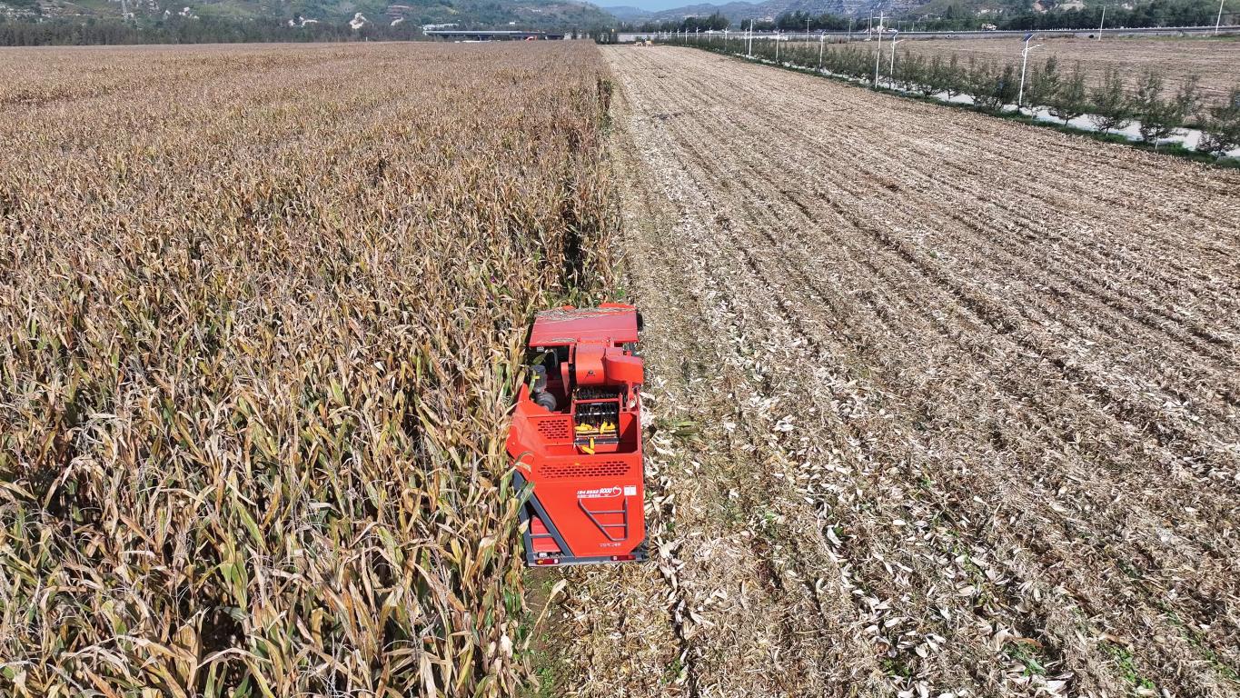 20251022192746238-40-9fd8e.jpg_scale.jpg 20251022192746238-40-9fd8e.jpg_scale.jpg