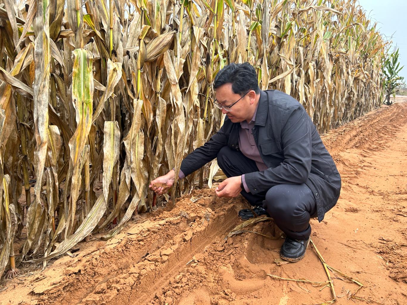 20251022193440059-24-adb63.jpg_scale.jpg 20251022193440059-24-adb63.jpg_scale.jpg