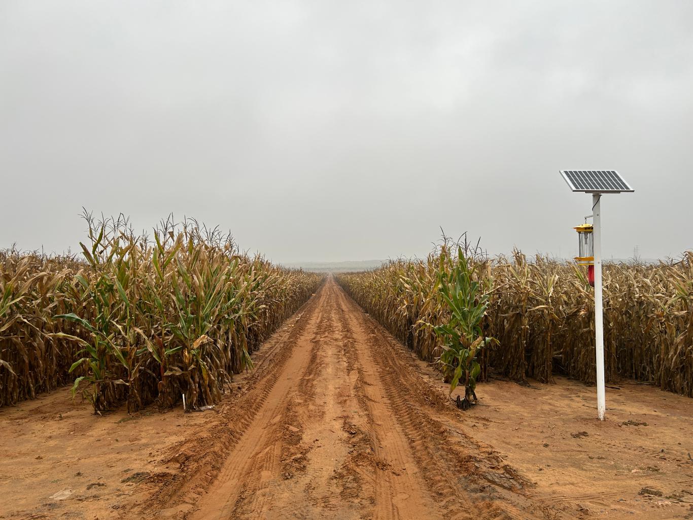 20251022193440902-94-a3ad0.jpg_scale.jpg 20251022193440902-94-a3ad0.jpg_scale.jpg