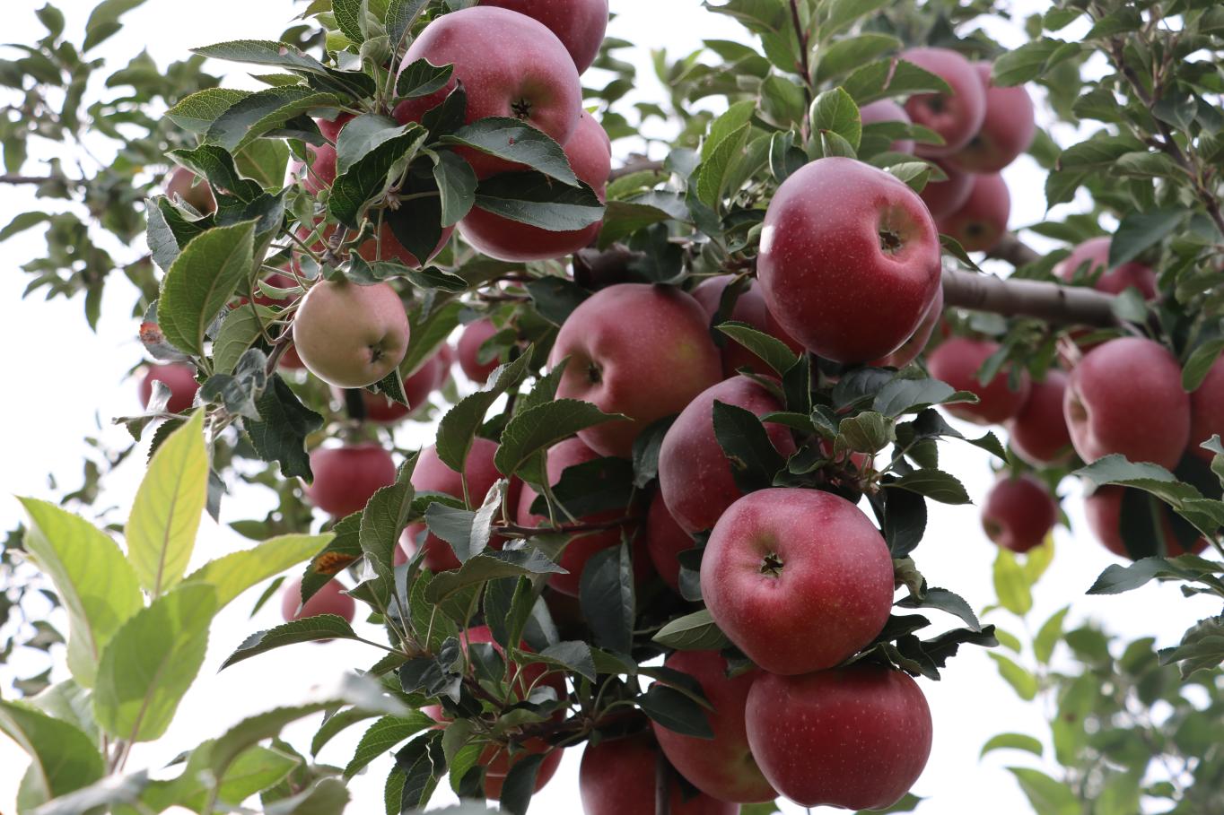 20251022193657031-76-f537e.JPG_scale.jpg 20251022193657031-76-f537e.JPG_scale.jpg