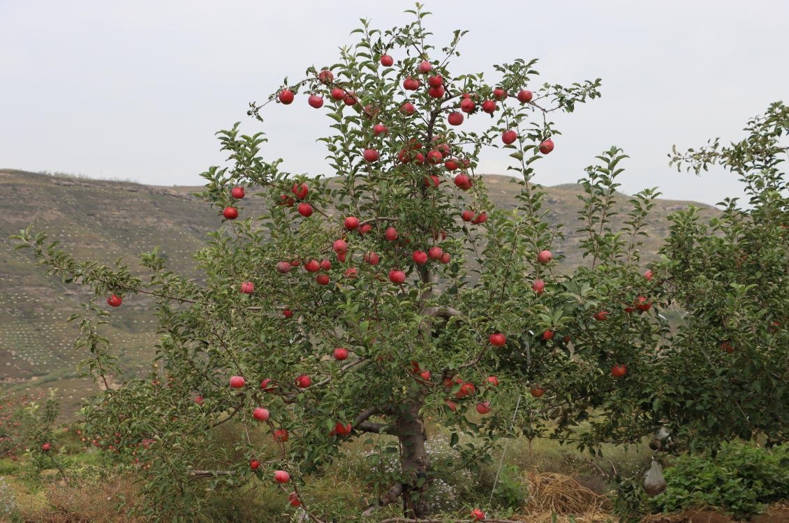 20251022193829756-1-d32a4.jpg 20251022193829756-1-d32a4.jpg