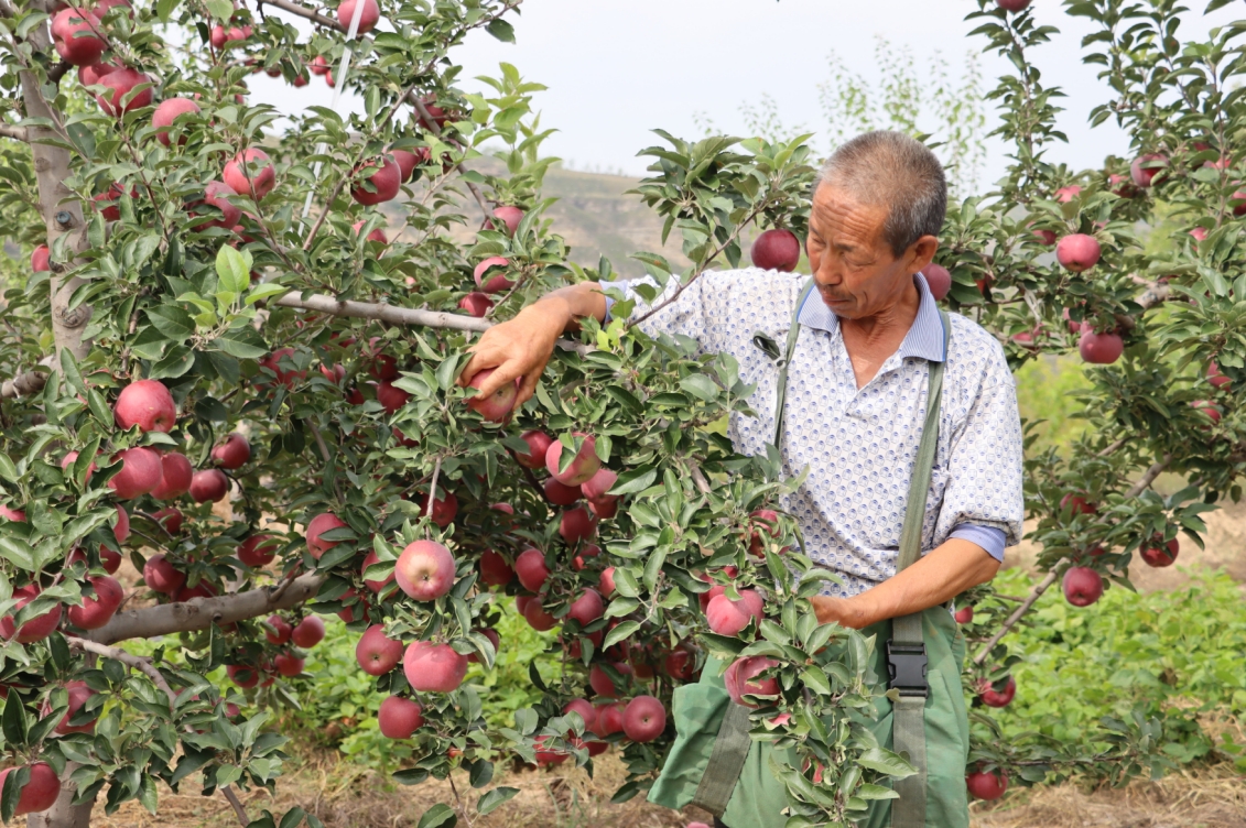 20251022193829846-21-cbe22.jpg 20251022193829846-21-cbe22.jpg