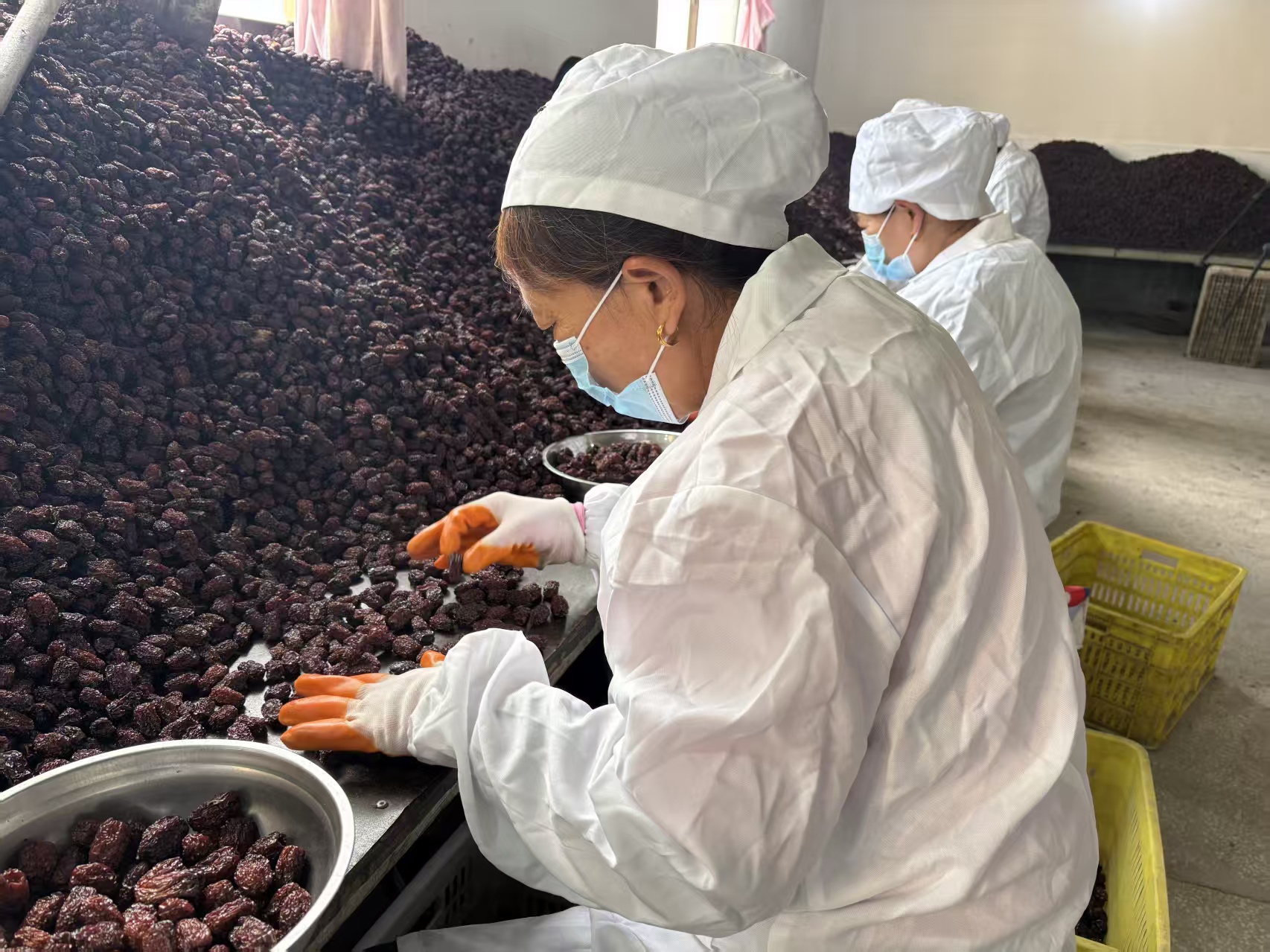 20251022194102846-13-7ce86.jpg 20251022194102846-13-7ce86.jpg