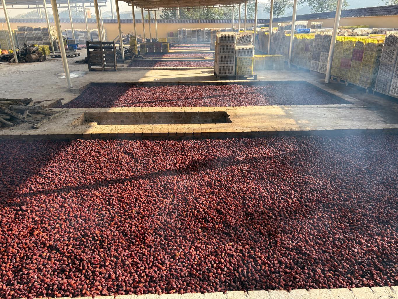 20251022194107247-93-f8430.jpg_scale.jpg 20251022194107247-93-f8430.jpg_scale.jpg