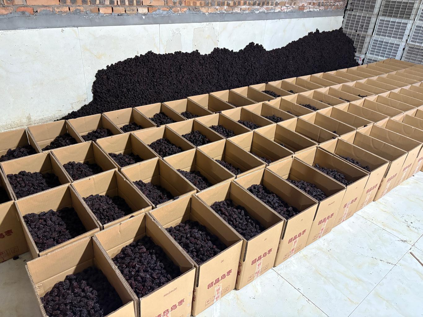 20251022194107598-39-74a0e.jpg_scale.jpg 20251022194107598-39-74a0e.jpg_scale.jpg