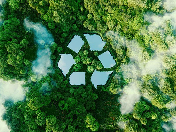 林業(yè)碳匯案例_林業(yè)碳匯案例_北京碳美拉科技有限公司