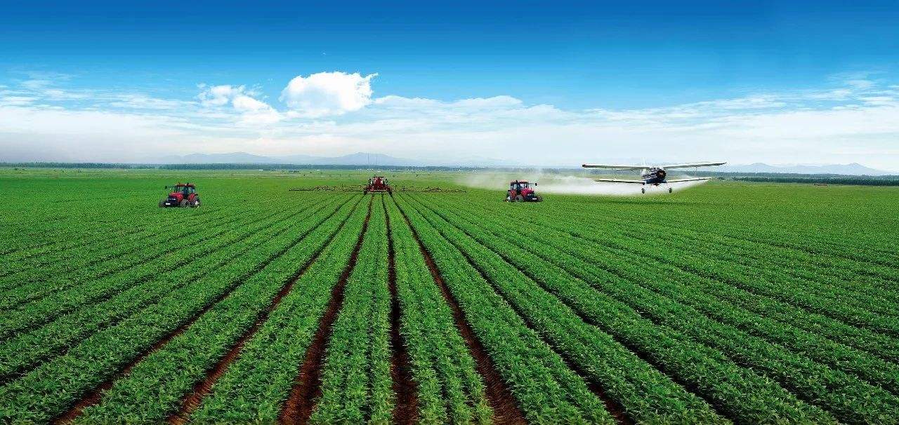 我國農(nóng)業(yè),新型農(nóng)業(yè),我農(nóng)業(yè)地域類型_大山谷圖庫