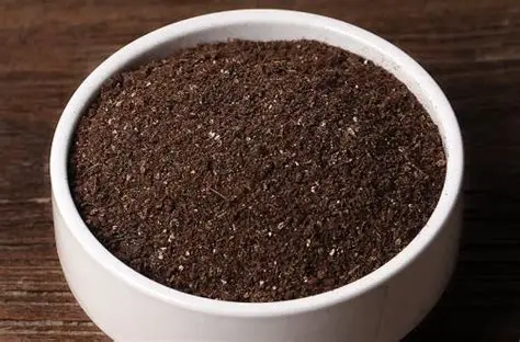 什么是營養(yǎng)土？ 營養(yǎng)土怎么自制你造嗎？|什么|營養(yǎng)-知識百科-川北在線