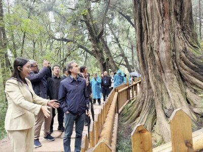 中意兩國專家在蜀道考察。劉小龍攝