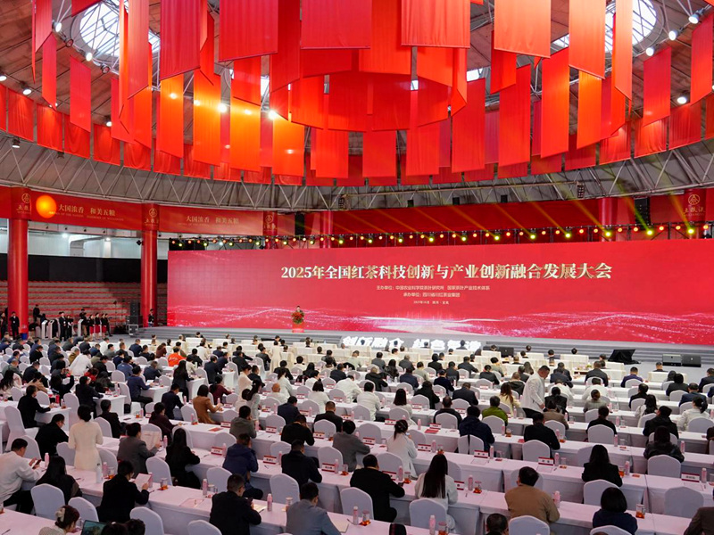 會(huì)議現(xiàn)場(chǎng)。受訪(fǎng)方供圖