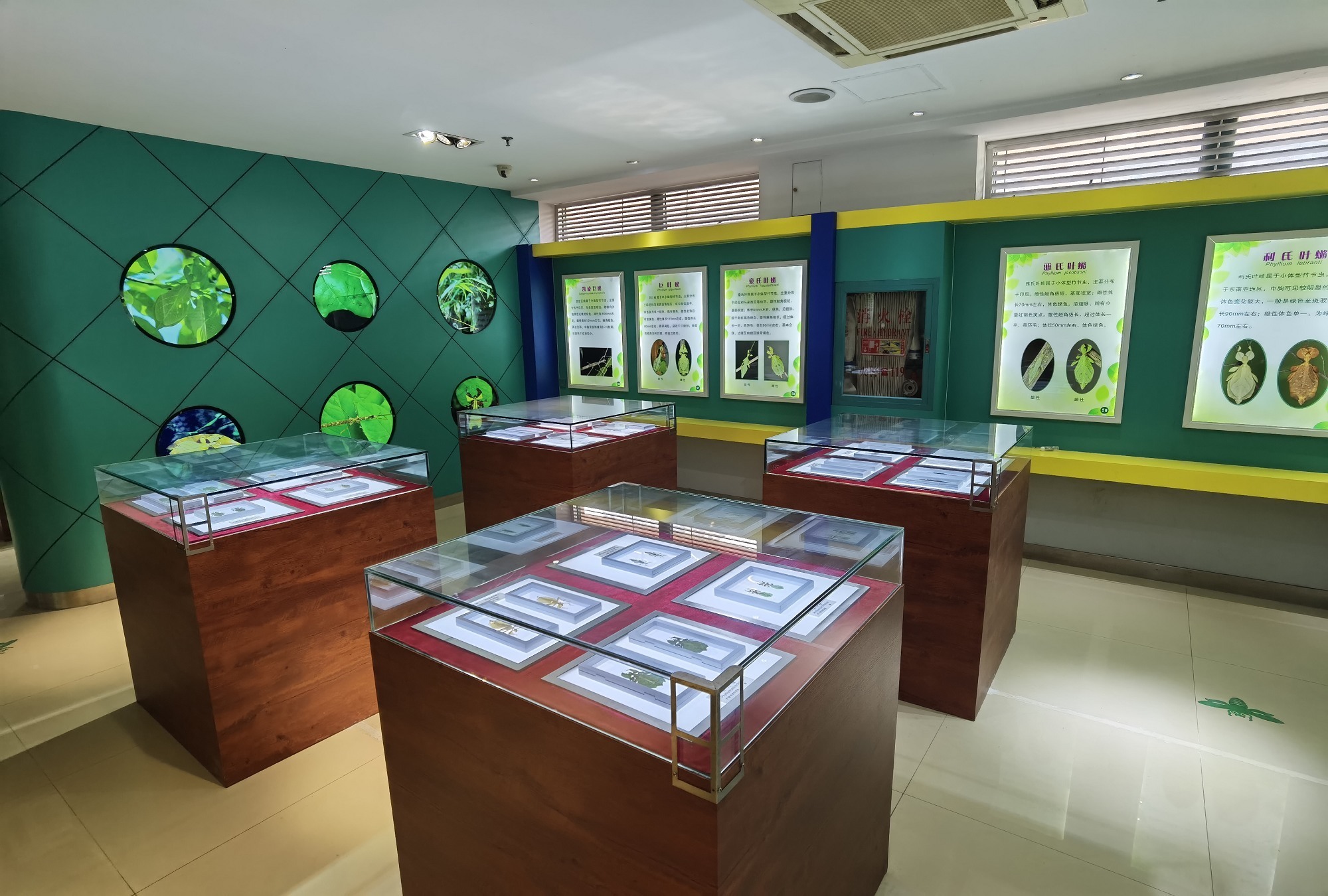 中国科学院上海昆虫博物馆 - 每日环球展览 - iMuseum