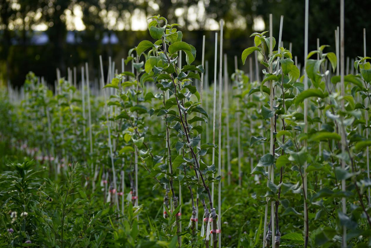 微信图片_20251101231442