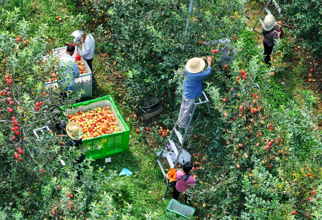 微信图片_20251101231232