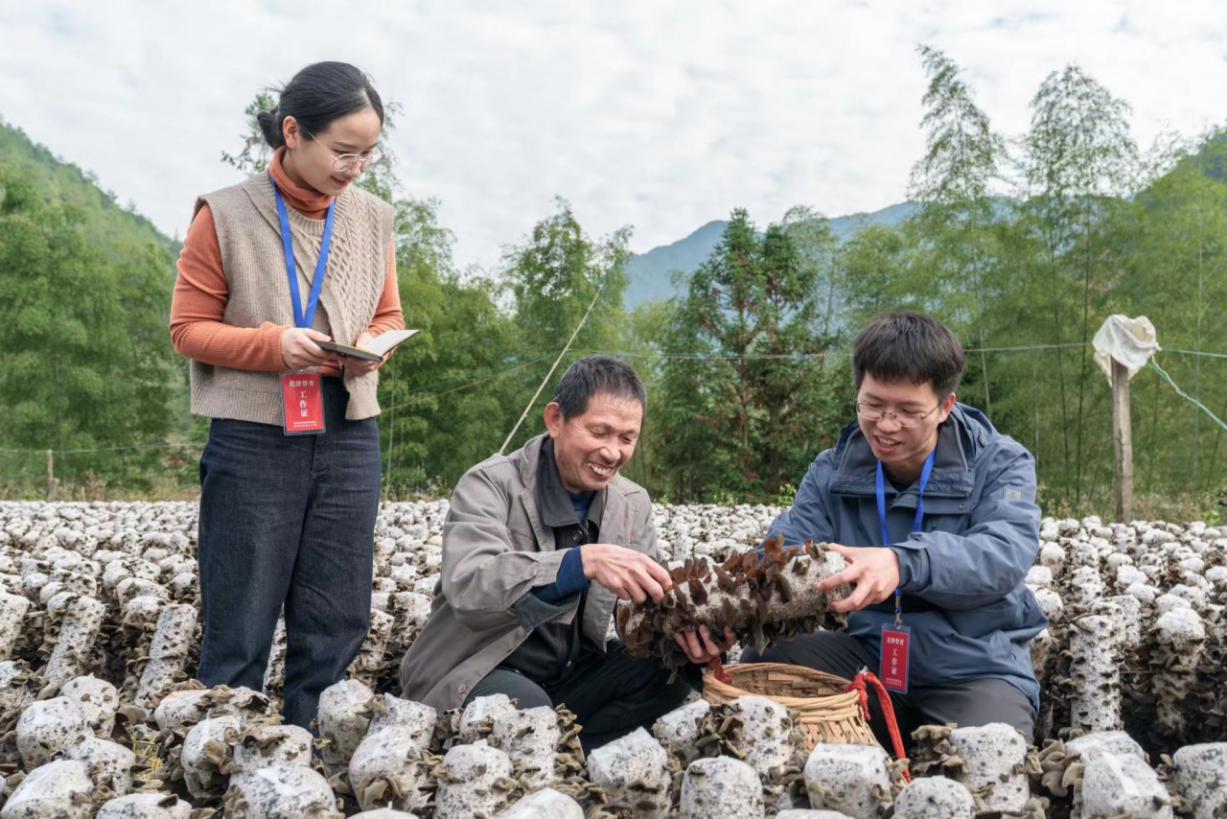 【纪检监察人·镜头】聚焦"惠农助农" 助力农民增收致富