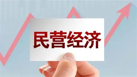 经济日报:壮大民营经济发展新动能,给民营企业更多资源和话语权|民营企业_新浪新闻