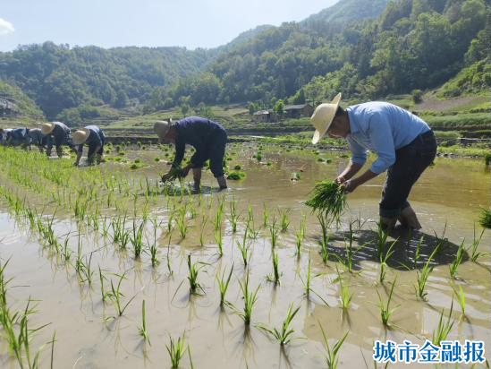 25234b5918f1905e796e34156136155