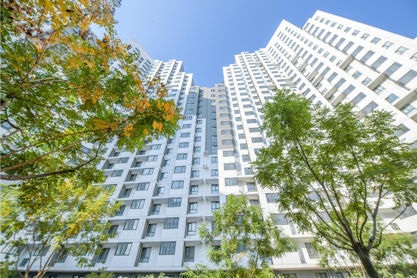 20251105093717684-78-dbc11.jpg_scale.jpg 20251105093717684-78-dbc11.jpg_scale.jpg