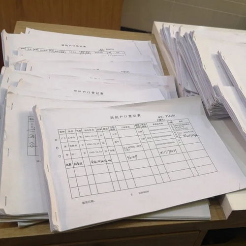 长征镇上线 邻里 民生档案 防疫数据将派 大用场