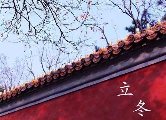 立冬到,学会冬藏这一招,整个冬天不怕冷