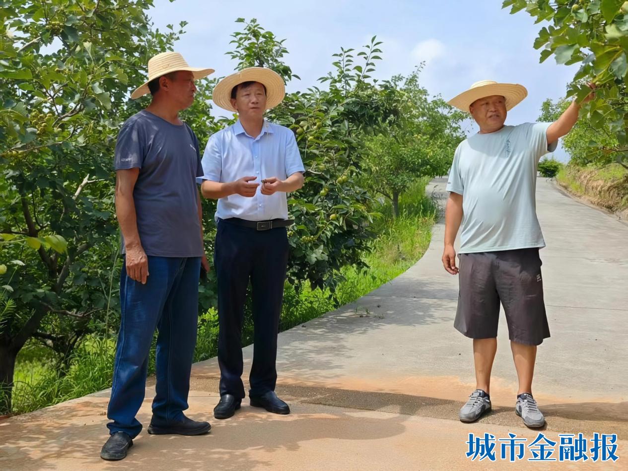 微信图片_20251107102534_17_663