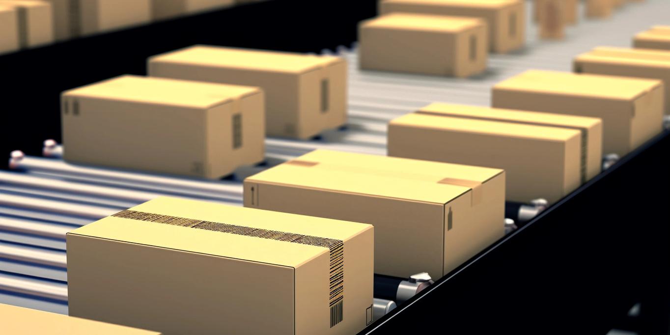 20251111100328384-4-f0857.jpg_scale.jpg 20251111100328384-4-f0857.jpg_scale.jpg