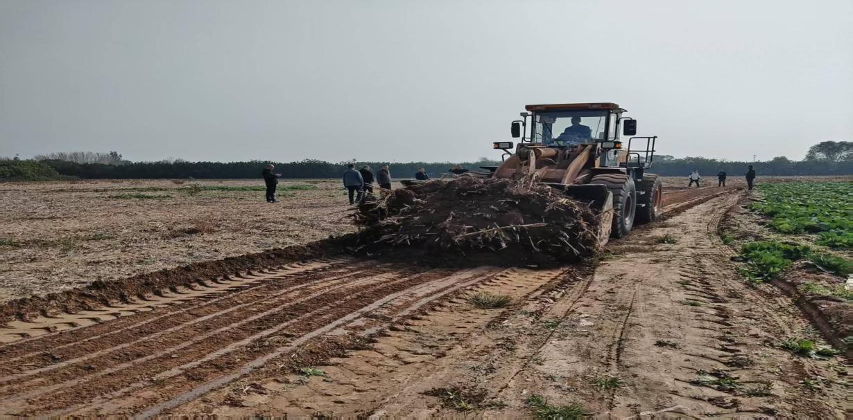 3555bf9b695c3d94ef224e21c46d8530