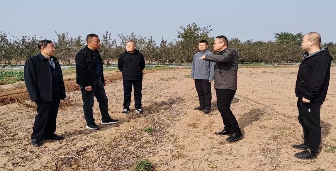 3753f1d7bd7bf3fc93b9b4f831c1f6b8