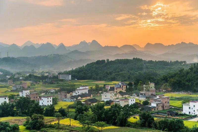 牢牢抓住县域振兴这个“牛鼻子”|全会快评