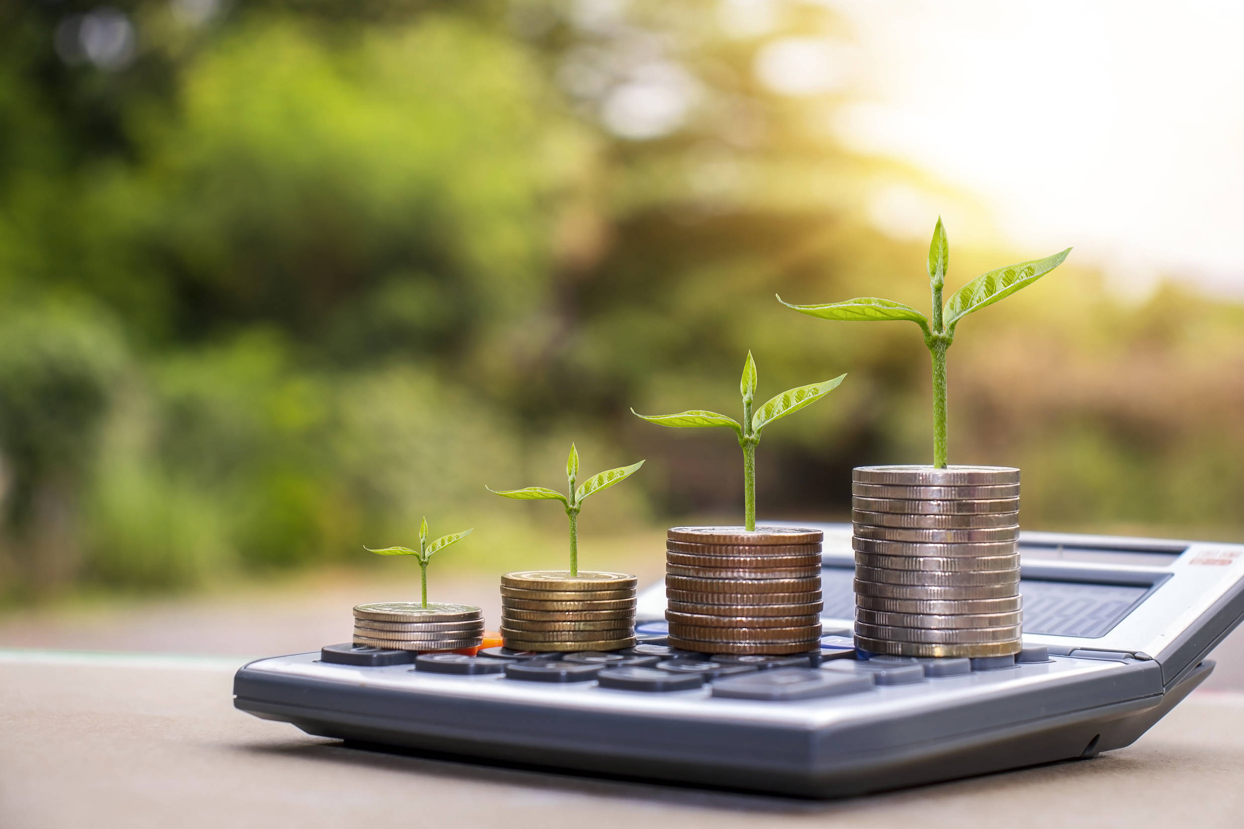 点“绿”成金，做好绿色金融大文章_上海_企业_项目