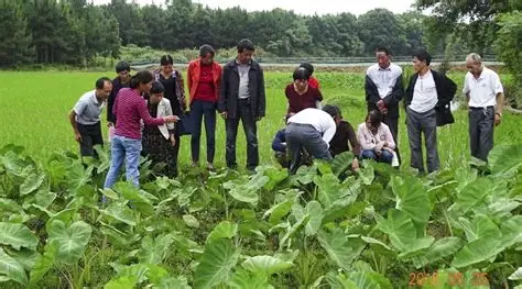 县农业委多举措加强新型农民技能培训助力乡村振兴_职业